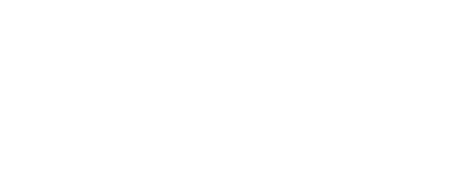 LeadOrigin logo