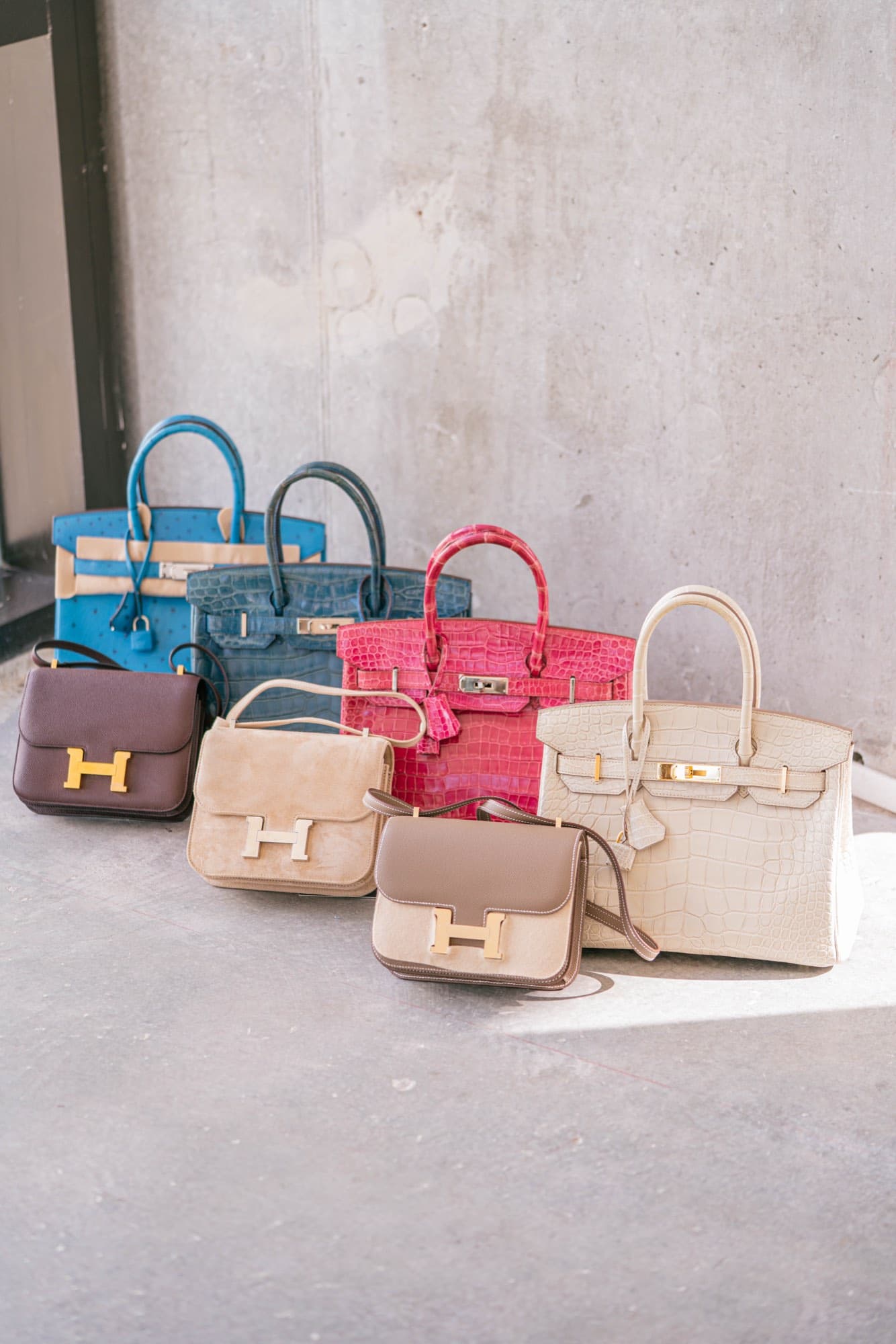 Lineup of pre-owned luxury handbags in assorted colors