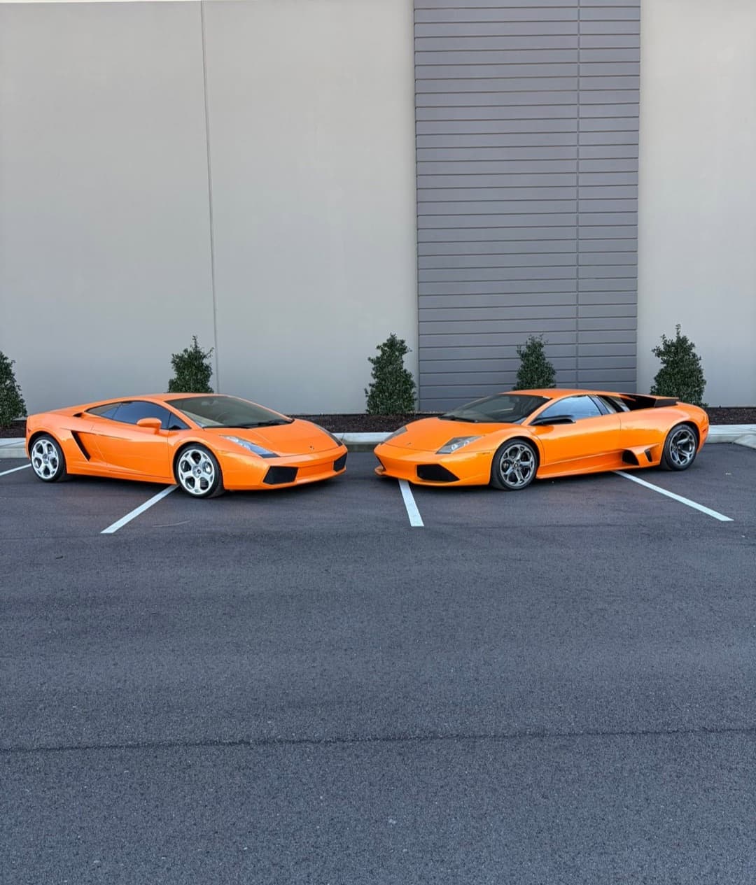 An orange Lamborghini Gallardo and Murcielago parked nose to nose