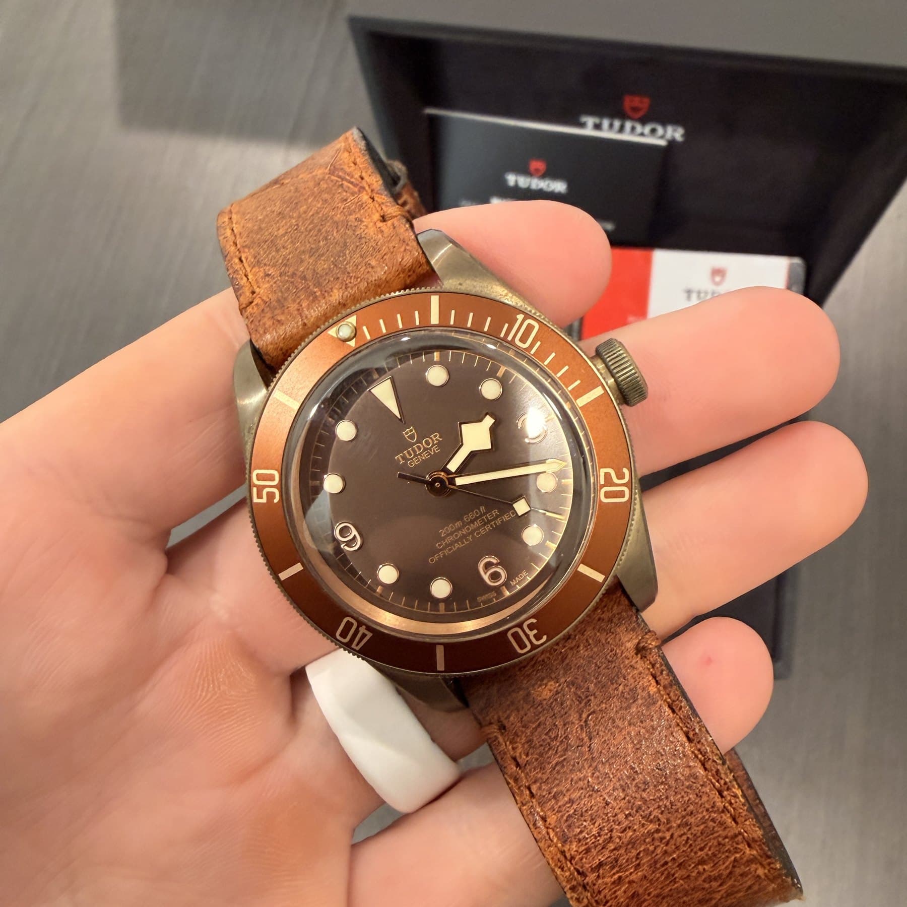 Tudor Black Bay Bronze, brown dial and bronze bezel, on the hand